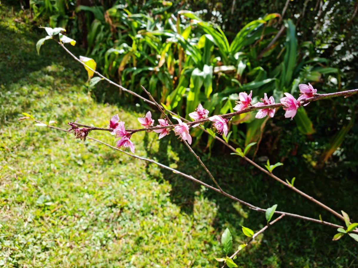 Marcita Chale Monte Verde (Minas Gerais) Exterior foto